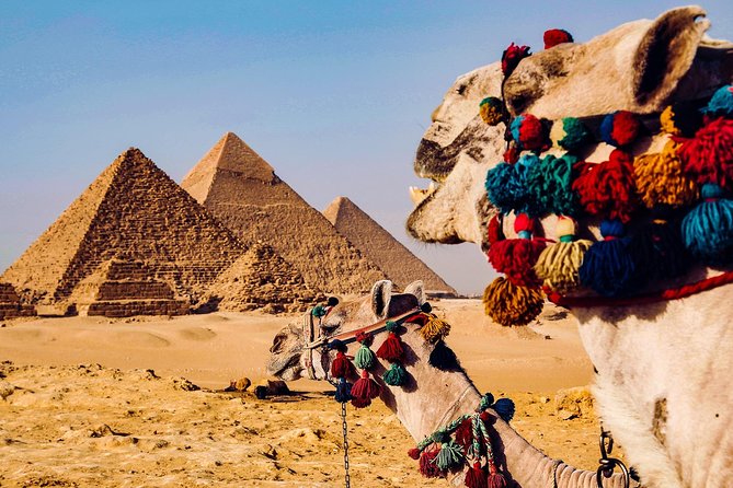 7-Days Tour Cairo,Aswan,Luxor, and Nile Cruise Camel Ride, With Domestic Flights - Inclusions and Exclusions