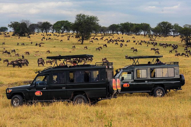 7Days Private Camping Safari Serengeti,Ngorongoro,Manyara,Tarangire,Arusha Parks