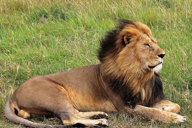 8 Day Bush and Beach Private Holiday Safari - Itinerary Highlights