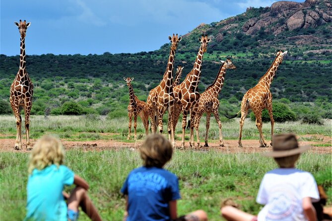 8-Day Cultural Tour and Wildlife Holiday N Kenya - Itinerary Highlights