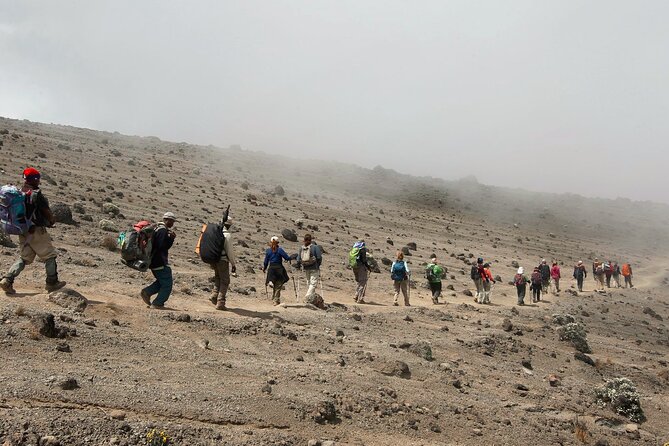 8 Day Kilimanjaro Lemosho Climb - Day 3: Shira 1 Camp via Shira Cathedral