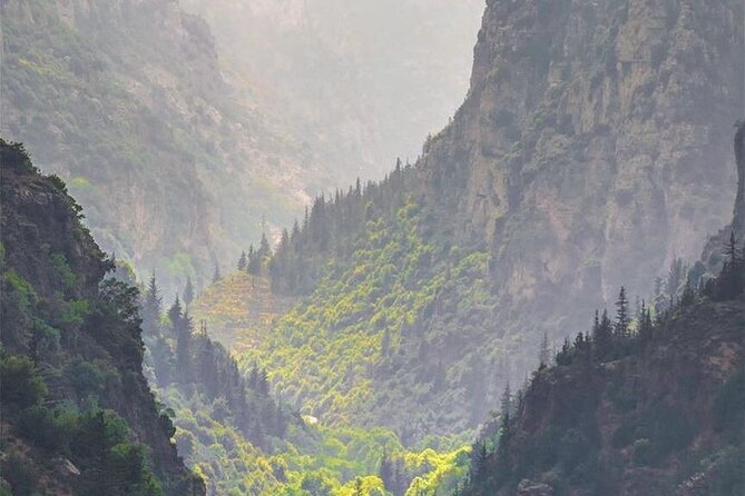 8-Day Lebanon Travel Package From Beirut - Meeting and Pickup Information