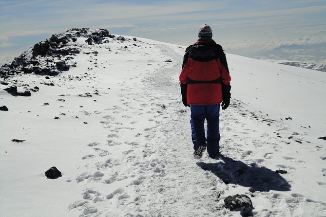 8-Day Lemosho Route Group Hiking on Kilimanjaro