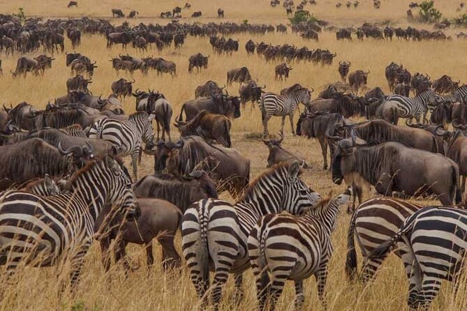 8 Days Exploring Tanzania Northern Circuit National Parks - Day 1: Arusha National Park