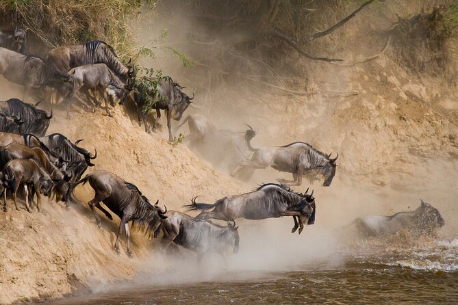 8 Days Follow the Wildebeest Migration River Crossing Safari - Itinerary Highlights