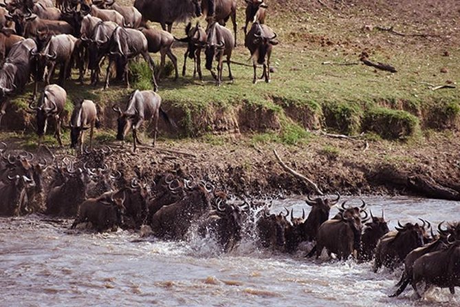 8 Days: Great Migration (tarangire, Serengeti And Ngorongoro Conservation) - Itinerary Overview
