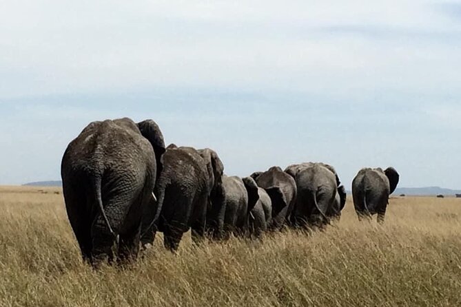 8 Days Green Season Offer - Luxury Serena Safari - Offer Inclusions