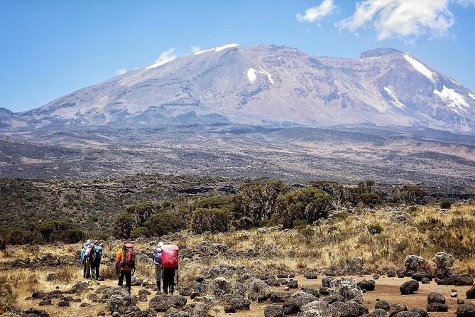 8 Days Lemosho Route Kilimanjaro Trekking - Overview of Lemosho Route Trek