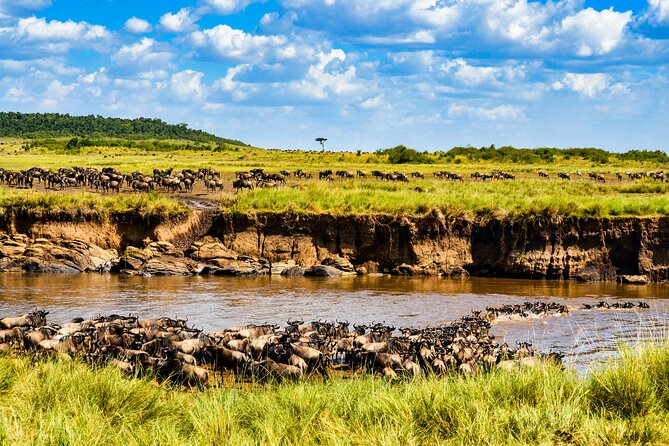 8 Days Private Safari in Serengeti Tour