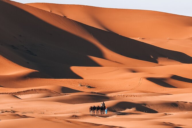 8 Days South Morocco Adventure 5 Days Desert Trek - Tour Details