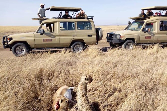 8 Days Tanzania Wildlife Safari Experience