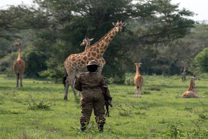 8 Days Uganda Primates Safari - Accommodation and Meals
