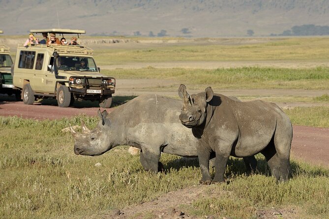 9-Day Private Guided Safari in Southern Tanzania With Meals - Accommodation and Dining Options