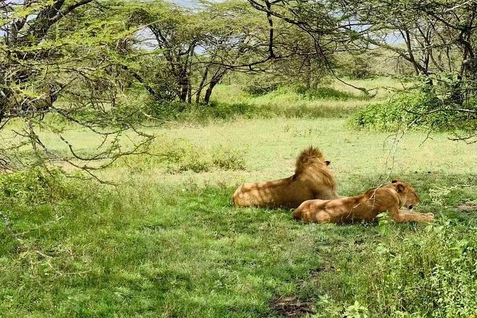 9 Days - Best of Tanzania Safari - Meal Inclusions