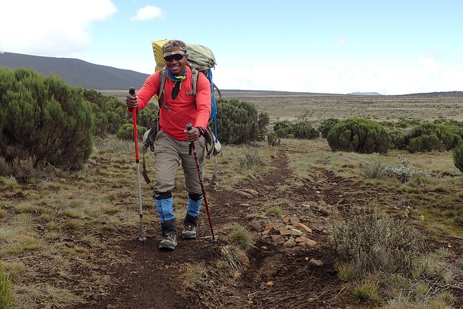 9 Days Kilimanjaro Climb via Lemosho Route - Itinerary for the 9-Day Climb