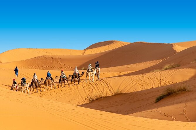 9 Days Morocco Tour From Casablanca