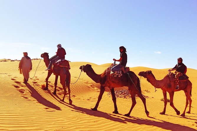 9 Days Southern Oasis, Kasbahs & Desert Morocco Cultural Tour From Marrakech - Tour Highlights