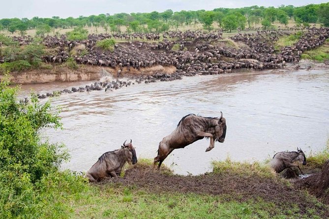 9 Days Tarangire, Serengeti, Ngorongoro Crater & Manyara Camping Safari Tour - Accommodations Included