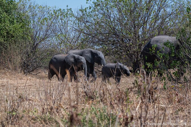 A Chobe Full Day Tour - Botwana - Pickup Details
