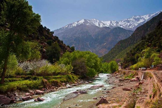 A Day in the Valley of the Ourika and the Atlas With a Camel Ride - Tour Details