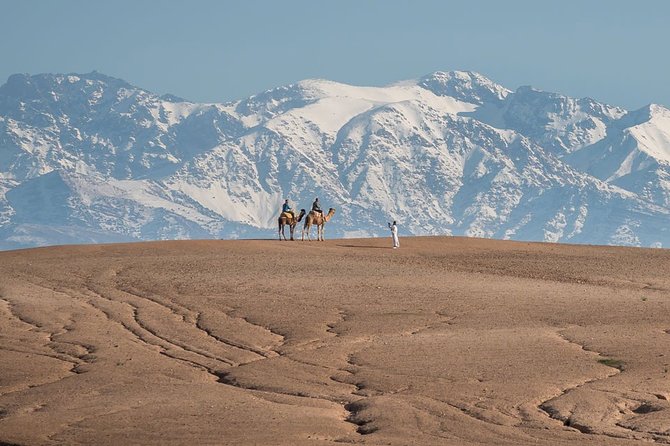 A Day of Desert Discovery: Lunch, Quad & Camel Ride in Agafay - Included Activities and Inclusions