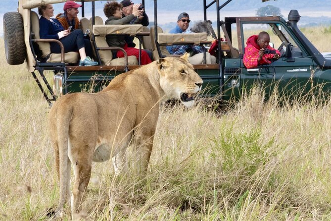 A Day Tour of Amboseli National Park at Mount Kilimanjaro Majesty - Departure From Nairobi