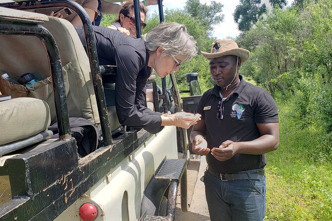 A Game Drive Plus White Rhino Short Walk - Wildlife Spotting Opportunities