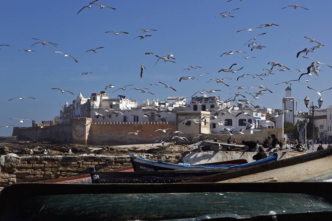 A Splendid Day in Essaouira - Strolling Along the Windy Beach