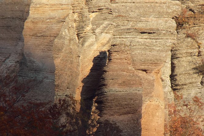 A Walking Over the Jurassic Sea: One Day Trip From Sofia - Tour Highlights