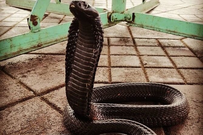 Activity in Morocco the Embrace of Life and Death - Activity Overview