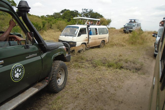 African Wildlife & Nature - 5 Kenya National Parks - 6 Day Jeep Safari - Itinerary Overview