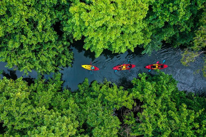 Afternoon Guided Kayak Tour on the Tamarin River - Meeting Point and Start Time