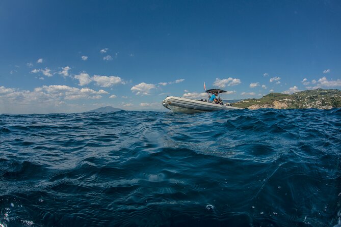 Afternoon Snorkelling Guided by a Marine Biologist in Sorrento - Activity Overview