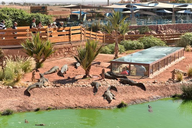 Agadir Crocoparc & Visite Souk Lhad Agadir Ticket Included - Tour Highlights