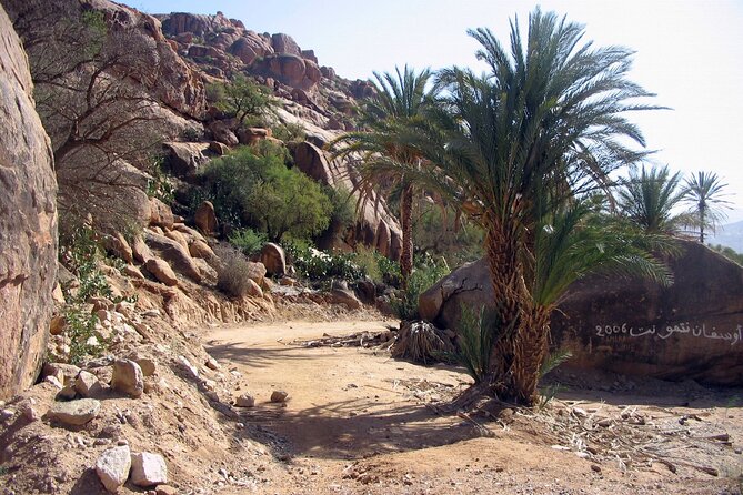 Agadir Day Trip To Tafraoute