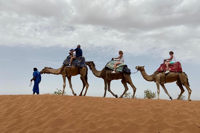 Agadir Sunset on Camel Ride With Barbecue - Reviews and Testimonials