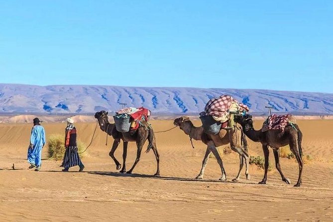 Agafay Desert 1 Day Trip - Trip Location and Activities