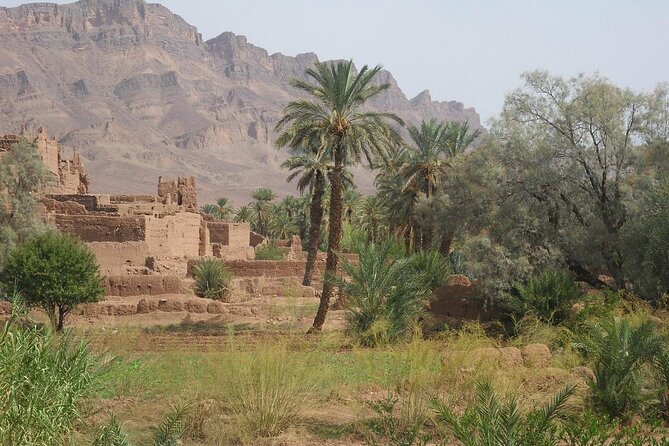 Agdez Palmery and Kasbah Tamnougalt With The Special History