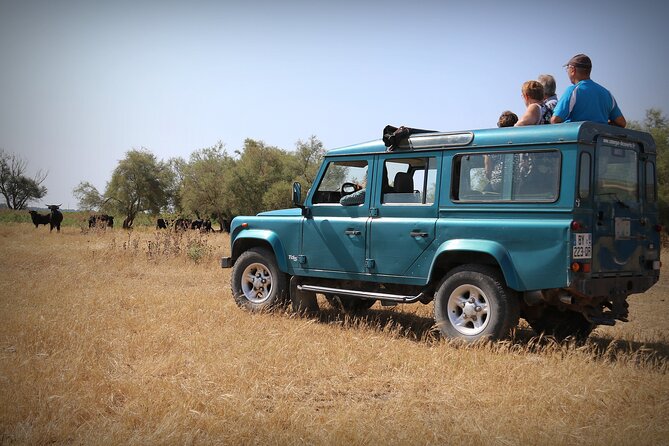 Aigues Mortes: 4x4 Photo Safari in the Camargue