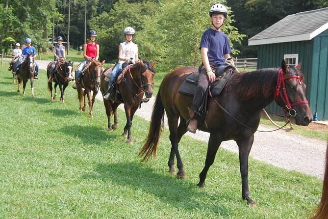 Alanya Horseback Riding in the Taurus Mountains With Transfer - Pickup Information