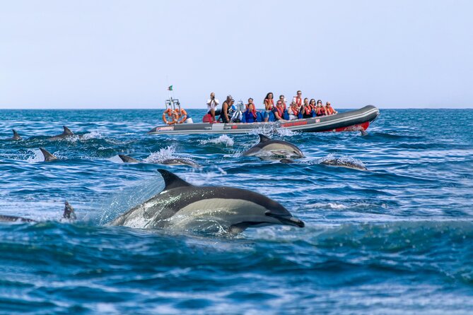 Albufeira 2 Hour 30 Minute Private Dolphin and Benagil Caves Tour - Tour Highlights