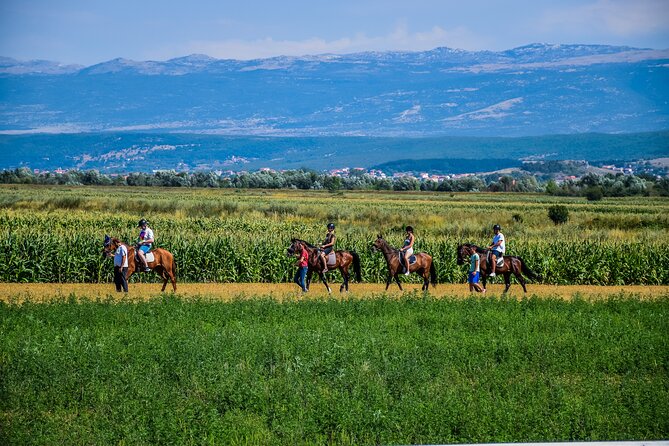 All-Inclusive Horse Riding & Jeep Exploring - Meeting and Pickup Details