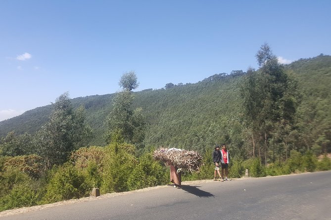 All Inclusive Small Group Tour of Addis Ababa - Meeting and Pickup