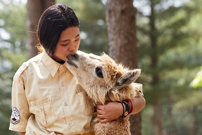Alpaca World & Nami Island & Garden of Morning Calm One Day Tour - Tour Itinerary