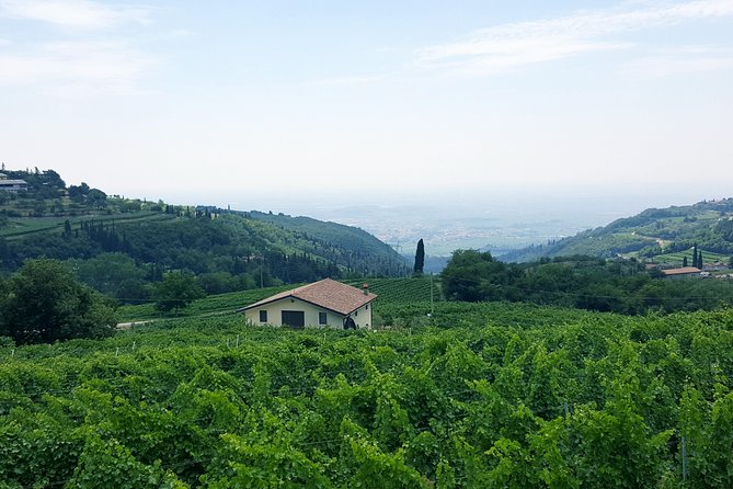 Amarone Wine Tour (All-Inclusive Full Day With Lunch and Expert Wine Guide) - Tour Itinerary