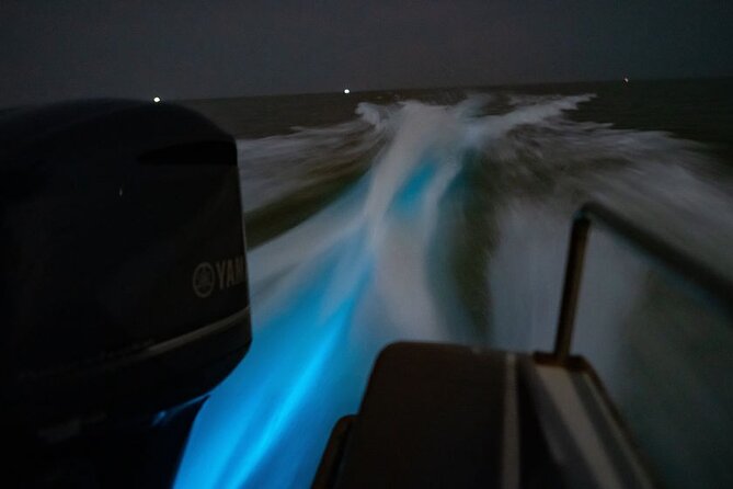 Amazing Fireflies With Blue Tears Watching & Kuala Selangor Tour - Boat Ride Through Mangroves