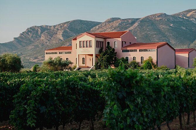 Amazing Wine Tasting at Nemea - Amenities and Additional Costs