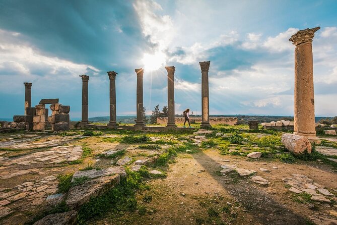 Amman, Jerash, Ajloun and Umm Quais Full Day Trip - Itinerary Highlights