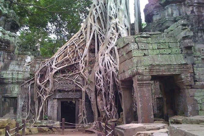 Angkor Wat 2-Day Tour - Tour Overview