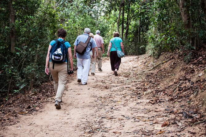 Angkor Wat Sunrise and Jungle Hiking Experience - Jungle Hiking Adventure